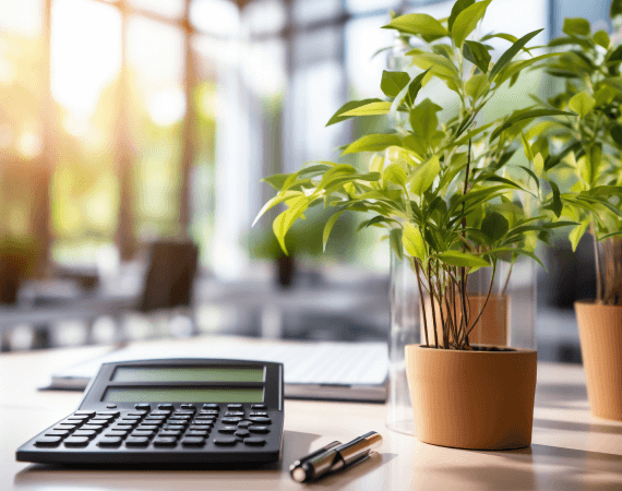 Non Profit Accounting and tax